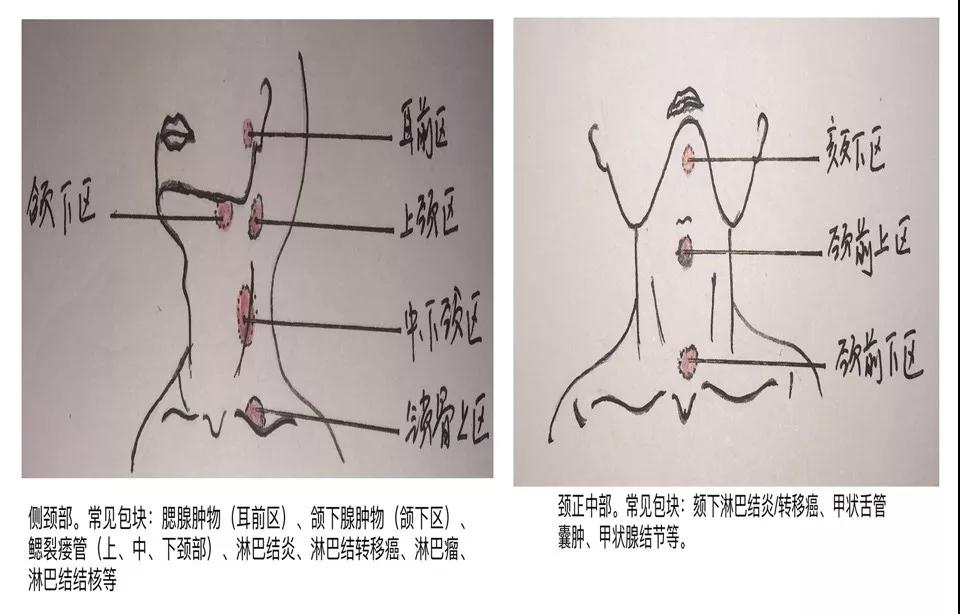 微信圖片_20190710094837.jpg