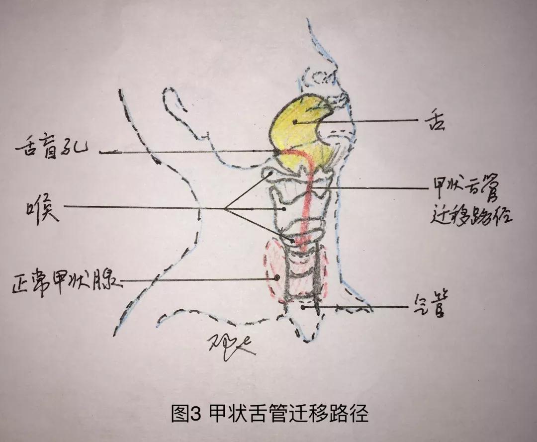 微信圖片_20190711105231.jpg