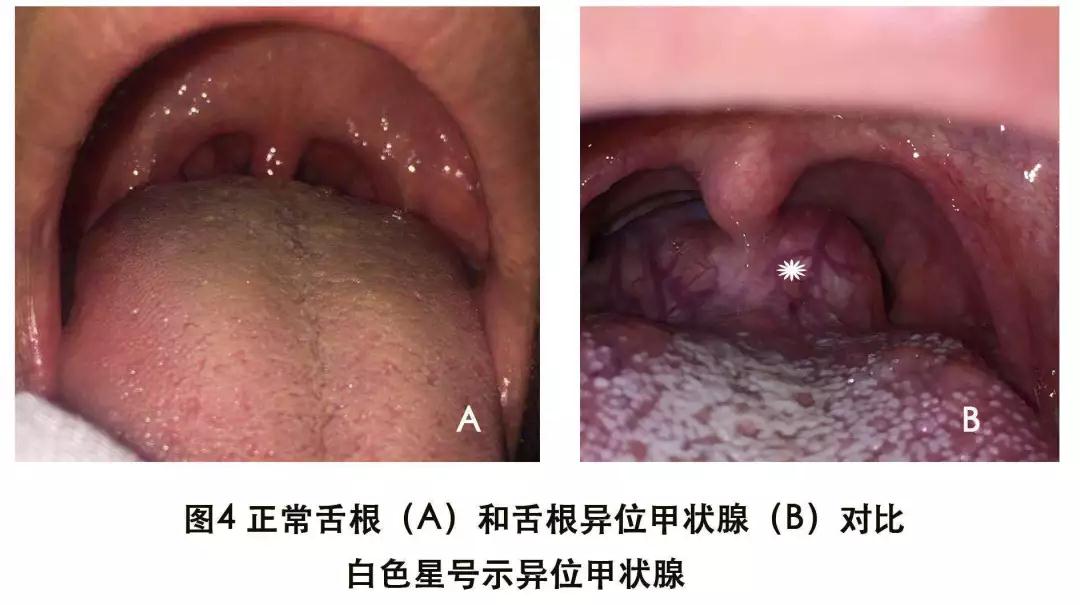 微信圖片_20190711105259.jpg