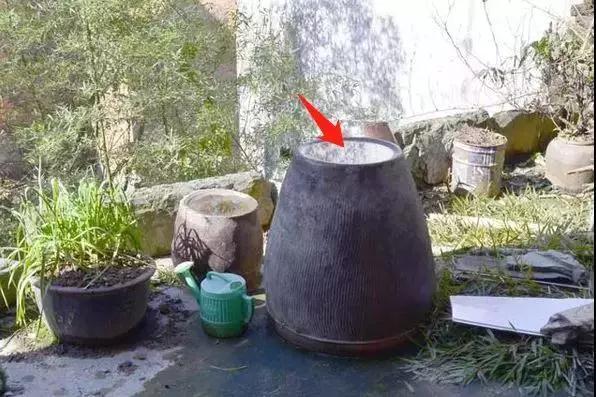 微信圖片_20190916144413.jpg