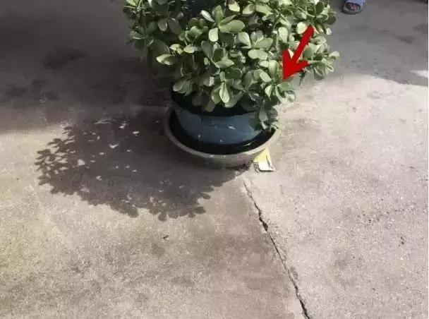 微信圖片_20190916144550.jpg